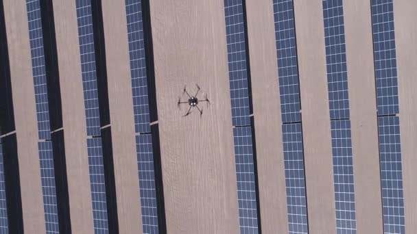 Drohnenvermessung Fliegen Und Arbeiten Zur Thermischen Inspektionsanalyse Von Solaranlagen Mit — Stockvideo