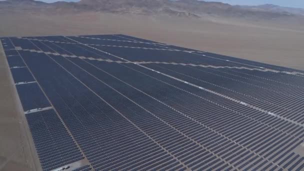 Zdjęcia Lotnicze Setek Modułów Energii Słonecznej Lub Paneli Rzędów Wzdłuż — Wideo stockowe