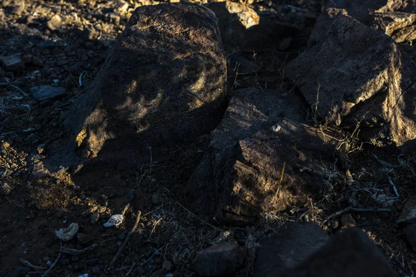 在智利阿塔卡马沙漠2019年日全食的另一个视图 在岩石阴影中迷你日食 我们可以看到太阳如何通过树叶 用小的太阳日食做阴影 — 图库照片