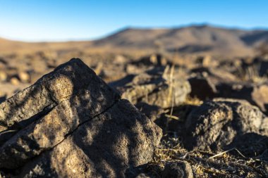 Atacama Çölü'nde Total Güneş Tutulması başka bir görünüm 2019, Şili, kaya gölgelerinde mini güneş tutulmaları. Güneşin yaprakların içinden nasıl geçtiğini görebilir izninizle küçük Güneş Tutulmaları ile gölgeler yapabiliriz.