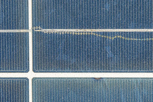 Strompaneele Mit Blick Auf Solarenergie — Stockfoto