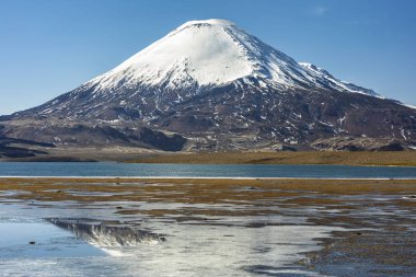 Sajama Volcano above the horizon over Chungara lake waters an awesome wild landscape inside Lauca National Park. A panoramic view of the chilean 