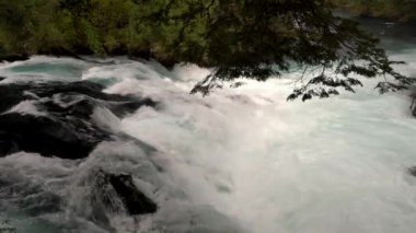Caburgua Nehri 'nin vahşi beyaz suları Carileufu Şelalesi' ne dökülüp atlıyor. Pucon 'daki Şili yağmur ormanlarının güneyinde inanılmaz bir manzara, biraz dinlenmek için cennet manzarası.