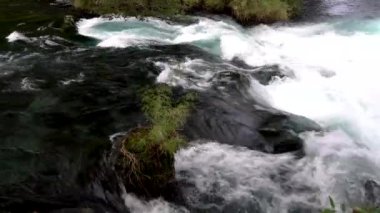 Caburgua Nehri 'nin vahşi beyaz suları Carileufu Şelalesi' ne dökülüp atlıyor. Pucon 'daki Şili yağmur ormanlarının güneyinde inanılmaz bir manzara, biraz dinlenmek için cennet manzarası.