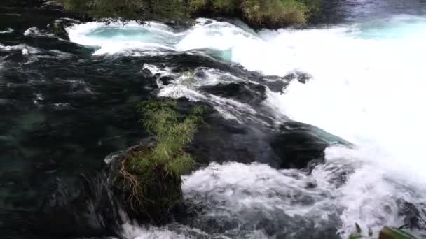 Acque Bianche Selvagge Del Fiume Caburgua Scorrono Giù Saltano Alla — Video Stock