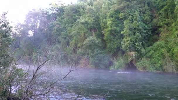 Dzikie Białe Wody Rzeki Caburgua Spływają Skaczą Nad Wodospadem Carileufu — Wideo stockowe