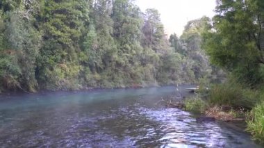 Caburgua Nehri 'nin vahşi beyaz suları Carileufu Şelalesi' ne dökülüp atlıyor. Pucon 'daki Şili yağmur ormanlarının güneyinde inanılmaz bir manzara, biraz dinlenmek için cennet manzarası.