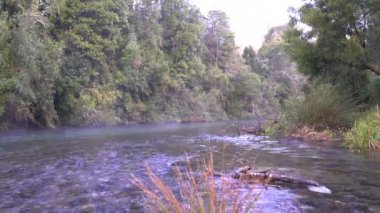 Caburgua Nehri 'nin vahşi beyaz suları Carileufu Şelalesi' ne dökülüp atlıyor. Pucon 'daki Şili yağmur ormanlarının güneyinde inanılmaz bir manzara, biraz dinlenmek için cennet manzarası.