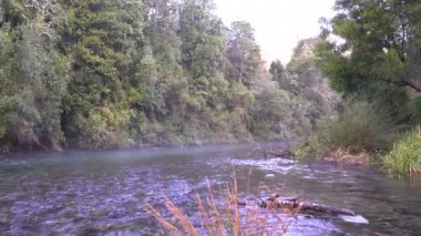 Caburgua Nehri 'nin vahşi beyaz suları Carileufu Şelalesi' ne dökülüp atlıyor. Pucon 'daki Şili yağmur ormanlarının güneyinde inanılmaz bir manzara, biraz dinlenmek için cennet manzarası.