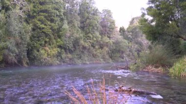 Caburgua Nehri 'nin vahşi beyaz suları Carileufu Şelalesi' ne dökülüp atlıyor. Pucon 'daki Şili yağmur ormanlarının güneyinde inanılmaz bir manzara, biraz dinlenmek için cennet manzarası.