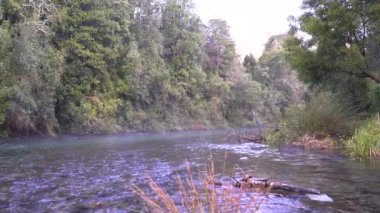 Caburgua Nehri 'nin vahşi beyaz suları Carileufu Şelalesi' ne dökülüp atlıyor. Pucon 'daki Şili yağmur ormanlarının güneyinde inanılmaz bir manzara, biraz dinlenmek için cennet manzarası.