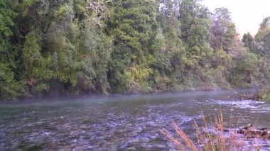 Caburgua Nehri 'nin vahşi beyaz suları Carileufu Şelalesi' ne dökülüp atlıyor. Pucon 'daki Şili yağmur ormanlarının güneyinde inanılmaz bir manzara, biraz dinlenmek için cennet manzarası.