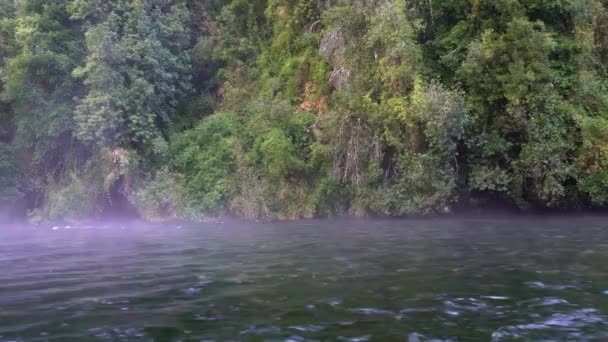 Caburgua川の野生の白い水が流れ落ち Carileufu滝でジャンプします Puconのチリ熱帯雨林の南にある素晴らしい景色 いくつかのリラックスした時間のための牧歌的な風景 — ストック動画