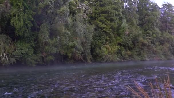 卡武瓜河的狂野白水流下 在卡里略夫瀑布边跳跃 在智利南部的普孔热带雨林里 一片令人惊奇的风景 一片田园诗般的风景 让人放松了一会 — 图库视频影像
