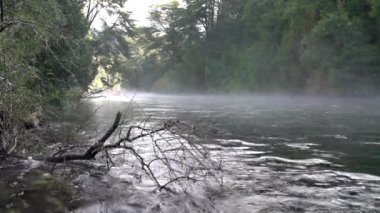 Caburgua Nehri 'nin vahşi beyaz suları Carileufu Şelalesi' ne dökülüp atlıyor. Pucon 'daki Şili yağmur ormanlarının güneyinde inanılmaz bir manzara, biraz dinlenmek için cennet manzarası.