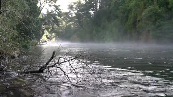 Дикі Білі Води Річки Кабургуа Течуть Вниз Стрибають Водоспад Карілефу — стокове відео