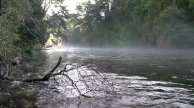 Caburgua Nehri 'nin vahşi beyaz suları Carileufu Şelalesi' ne dökülüp atlıyor. Pucon 'daki Şili yağmur ormanlarının güneyinde inanılmaz bir manzara, biraz dinlenmek için cennet manzarası.