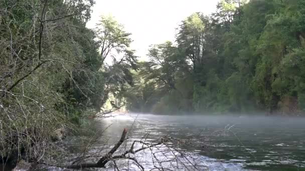 Les Eaux Blanches Sauvages Rivière Caburgua Coulent Sautent Cascade Carileufu — Video