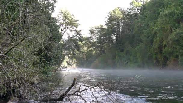 Águas Brancas Selvagens Rio Caburgua Fluindo Para Baixo Pulando Cachoeira — Vídeo de Stock