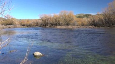 Malleo Nehri 'nin mavi suları Lanin Ulusal Parkı' na akıyor. Arjantin 'in güneyindeki inanılmaz bir ilkbahar manzarası. Biraz dinlenmek ve balık tutmak için cennet gibi bir yer.