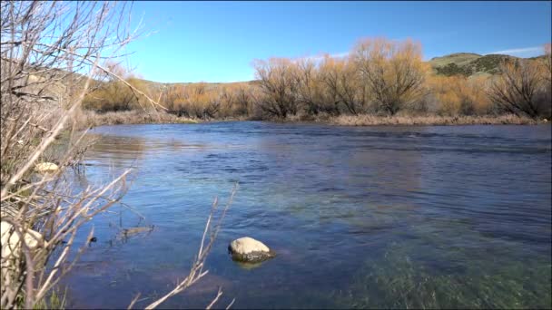 马利奥河蓝色的水流下来在拉宁国家公园 在阿根廷南部的一个迷人的早春风景 一个田园诗般的风景可以让你放松一下 也可以钓鱼 — 图库视频影像