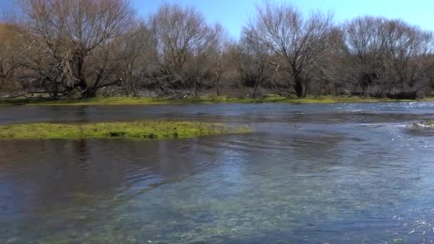 Modré Vody Řeky Malleo Tekoucí Národního Parku Lanin Úžasná Časná — Stock video