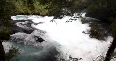 Caburgua Nehri 'nin vahşi beyaz suları Carileufu Şelalesi' ne dökülüp atlıyor. Pucon 'daki Şili yağmur ormanlarının güneyinde inanılmaz bir manzara, biraz dinlenmek için cennet manzarası.