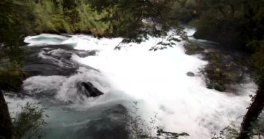 Caburgua Nehri 'nin vahşi beyaz suları Carileufu Şelalesi' ne dökülüp atlıyor. Pucon 'daki Şili yağmur ormanlarının güneyinde inanılmaz bir manzara, biraz dinlenmek için cennet manzarası.
