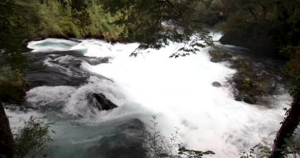 Das Wilde Weiße Wasser Des Caburgua Flusses Der Hinunterfließt Und — Stockvideo