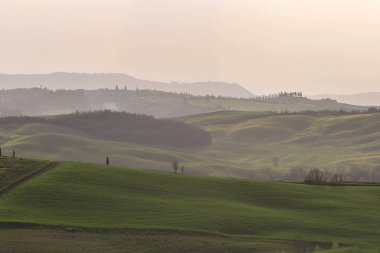 Toskana, doğal görünüm yeşil tepeler