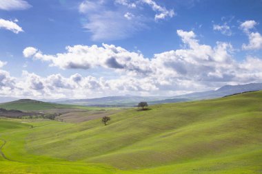 Hills Toskana erken bahar