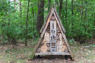 Bölmeler ve doğal bileşenleri ile böcek otel orman içinde yer