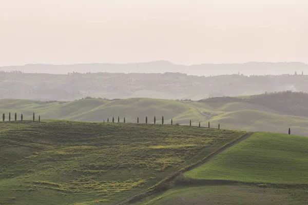 Colinas Verdes Toscana Vista Panorámica — Foto de Stock