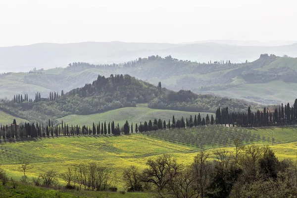 Collines Vertes Toscane Début Printemps Italie — Photo