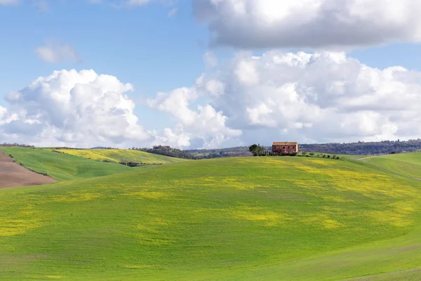 Colinas Toscana Principios Primavera — Foto de Stock