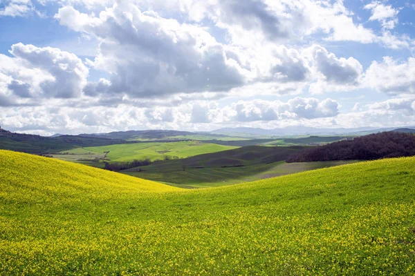 Colinas Verdes Toscana Principios Primavera — Foto de Stock