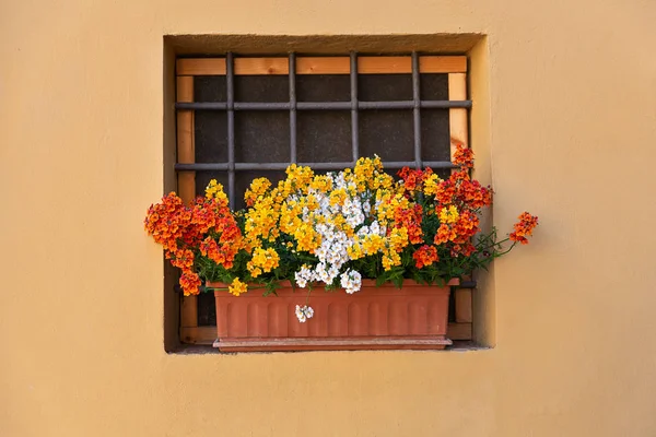 Flores Pote Peitoril Janela — Fotografia de Stock