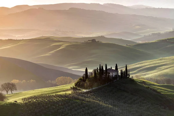 Vue Imprenable Sur Les Collines Verdoyantes Toscane Lever Soleil — Photo