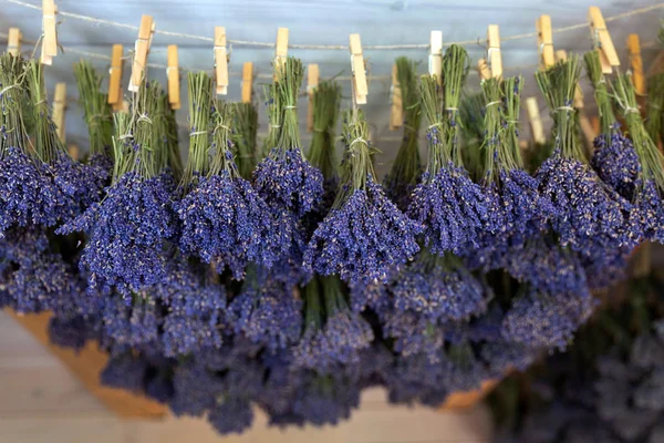 Bouquets séchés d'onduleurs — Photo