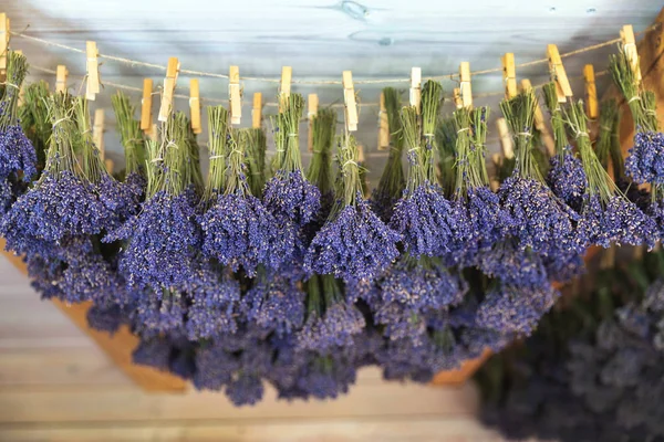Getrocknete Lavendelsträuße Die Den Saiten Unter Der Decke Haus Hängen — Stockfoto