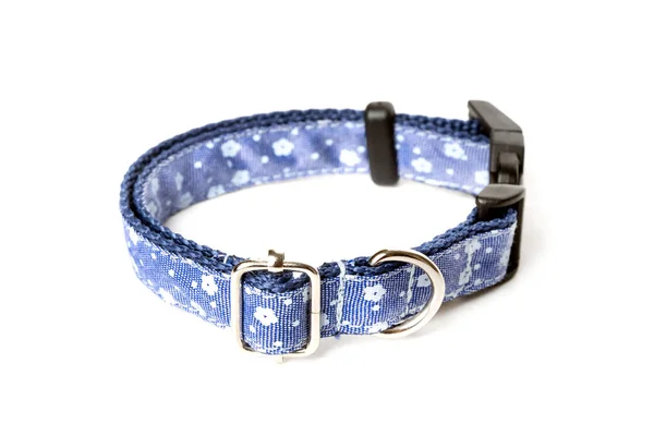 Blaues Hundehalsband Isoliert Auf Weißem Hintergrund — Stockfoto