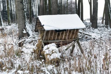 Mera ormandaki yabani hayvanlar için