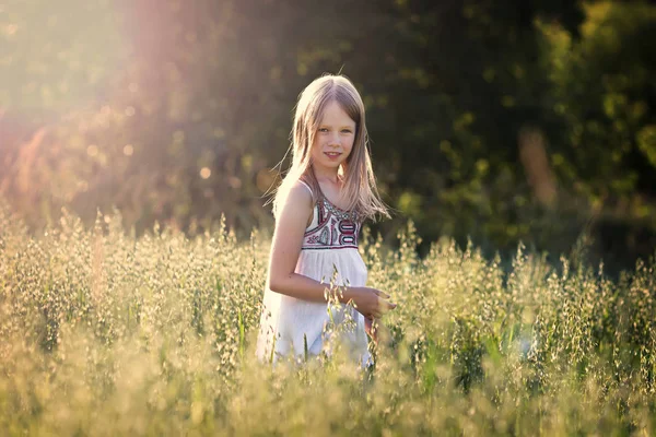 Dívka na obilných polích — Stock fotografie