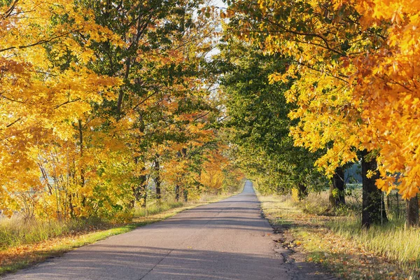 Colorido Autumn Road — Fotografia de Stock