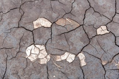 Kuraklık, çatlamış zemin güneşten kavrulmuş.