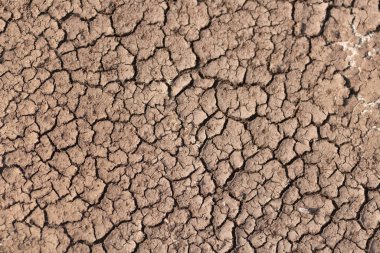Kuraklık, kuru toprak güneşten kavrulmuş.
