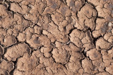 Kuraklık, kuru toprak güneşten kavrulmuş.