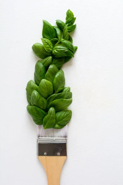 Pinceau Tampon Feuilles Basilic Concept Art Alimentaire Vue Dessus Pose — Photo