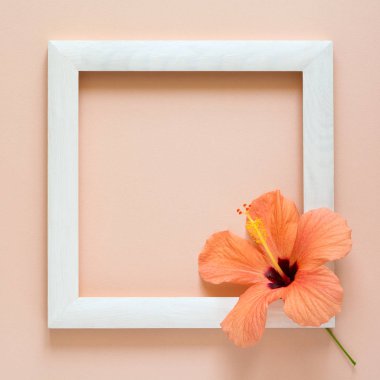 Minimalizm. Ahşap çerçeve şaheser gibiscus çiçek dekore edilmiştir. Üstten görünüm. Düz yatıyordu. Mock-up