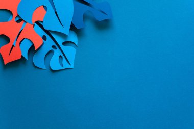 Yaz tropikal bitki arka plan. Monstera çerçeve bırakır. Canlı renkler. Kağıdı tarzı kesin. Düz yatıyordu. Kopya alanı.